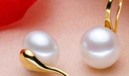 在线观看珍珠耳环,穿越时空的美丽传奇